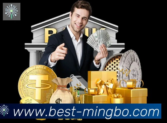 体育数据展示